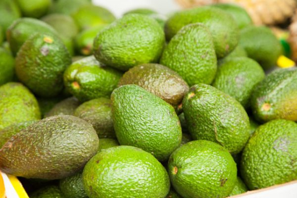 Pile of fresh green avocados