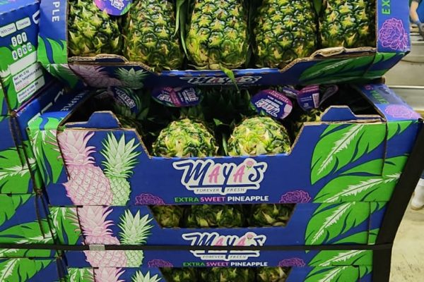 mayas pineapple pallet